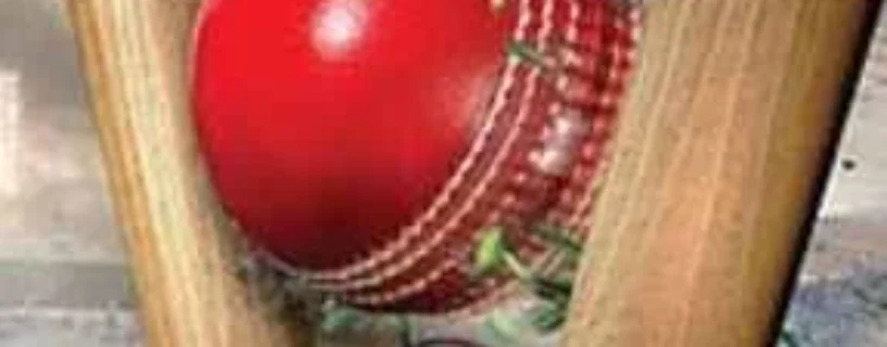 Download DON BRADMAN CRICKET 17 FREE – Safe & Official (v0.1.0985)