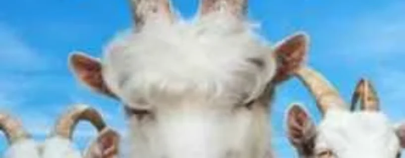 Download Goat Simulator 3 FREE – Safe & Official