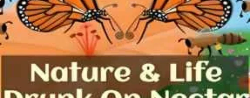 Download Nature And Life Drunk On Nectar FREE – Safe & Official (v1.0.3.1)