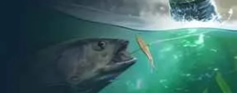 DOWNLOAD ULTIMATE FISHING SIMULATOR 2 FREE- SAFE & OFFICIAL